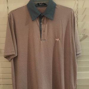 Southern Marsh Polo